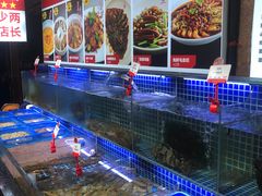 水产区-必点海鲜·鲅鱼水饺(鞍山西道店)
