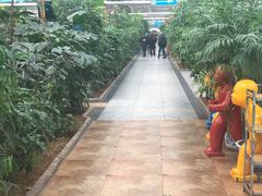 -特味村福园