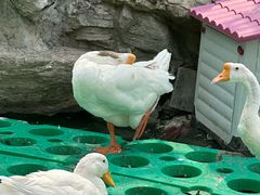 -团结湖公园