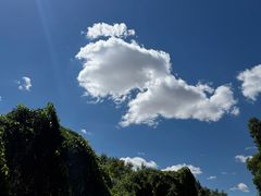 -阿尔丁植物园