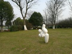 -九里河湿地公园