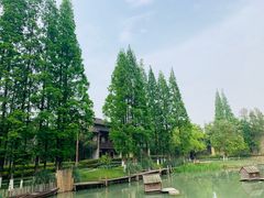 -乌村