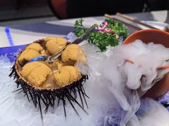 海胆-正黄旗海鲜烧烤大排档(延安路总店)