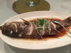 -老洋房花园饭店(绍兴路店)