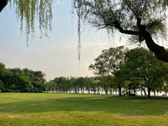 -柳浪闻莺公园