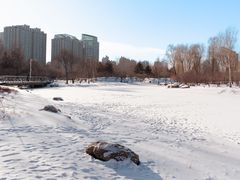 -群力丁香公园