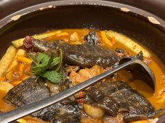 2.5斤甲鱼-王捌小院(红花坡店)