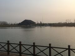 -盐城丹顶鹤湿地生态旅游区
