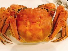 大閘蟹-鸿星海鲜酒家(格兰中心店)