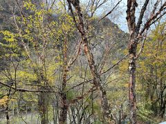 -叠溪松坪沟景区