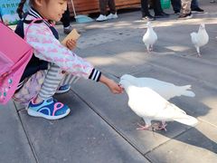 -天津妈祖文化园