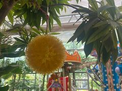 -南宫五洲植物乐园