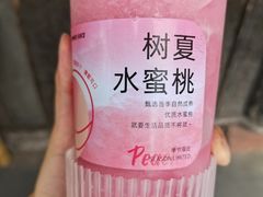-树夏(锦里店)