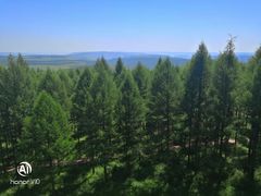 -塞罕坝国家级自然保护区