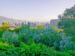 -牛岗山公园