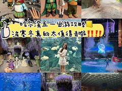-哈尔滨波塞冬海底世界
