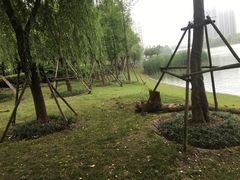 -南翔镇银翔湖公园
