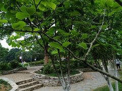-东莞植物园