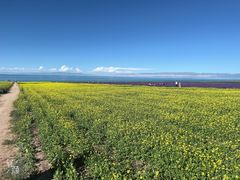 -青海湖国家重点风景名胜区