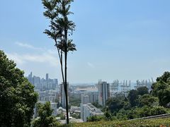 -花柏山公园