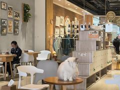-藏猫猫咖啡主题馆(中央大道店)