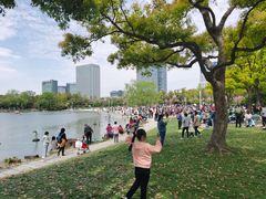 -大宁郁金香公园-停车场