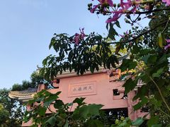 -水濂山森林公园