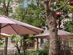 -中和·国风茶馆(愚园路店)