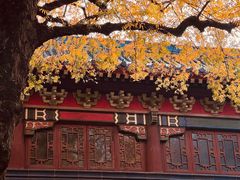 -灵谷景区