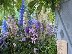 -Lamant Manor已闻花名關於藍
