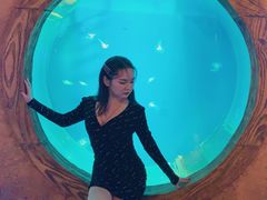 -华夏文旅海洋公园