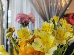 -沿途四季·云南菜(建外大街店)