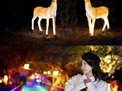 -胡里山炮台