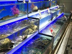 -盒马鲜生(莱蒙都会店)