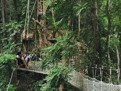 -西双版纳基诺山寨