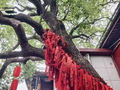 -仓山金山寺