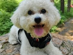 -蟠龙山长城景区