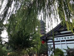 -常熟方塔园