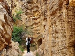 -元谋土林景区(物茂土林)