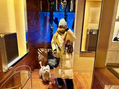-LV路易威登(王府井半岛酒店)