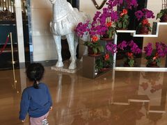 -富力希尔顿酒店·地阔自助餐厅