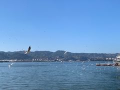 -海埂大坝