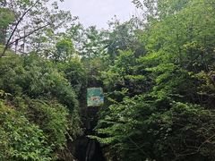 -鹿院坪生态旅游景区