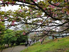 -石峰公园