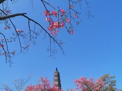 -顺峰山公园
