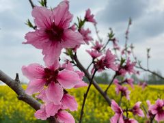 -中国天府农业博览园