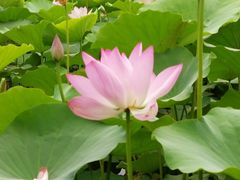-云居湖