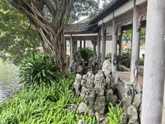 -荔湾湖公园