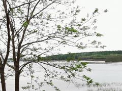 -丁香湖公园