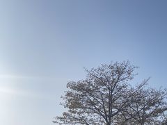 -西堤公园